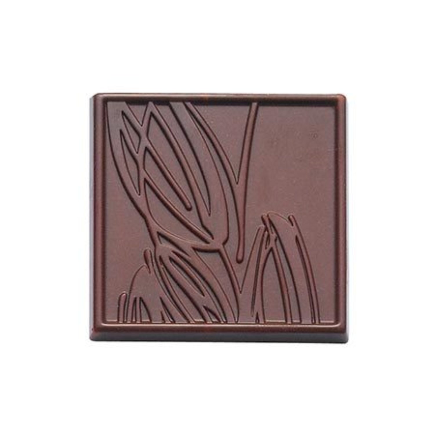 Moule chocolat napolitain Barry Le Comptoir de la Patisserie