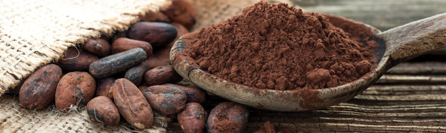 Produits Issus du Cacao Barry Le Comptoir de la Patisserie